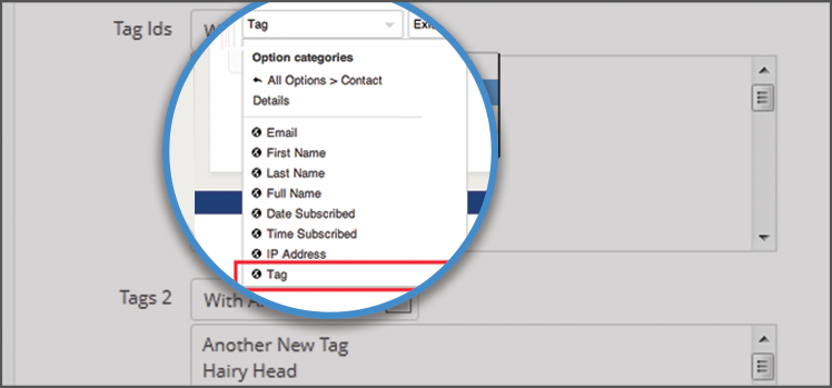 How to Use Tags to Automate Contact Segmentation