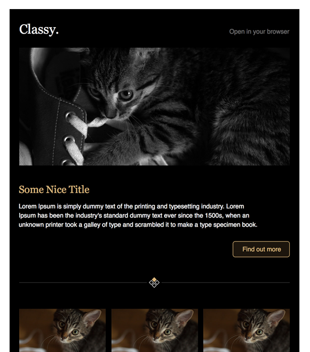 Classy Newsletter Template